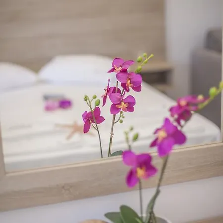 Appart hôtel Aggelos & Deluxe 4*