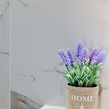 Aggelos & Deluxe 公寓式酒店 4*