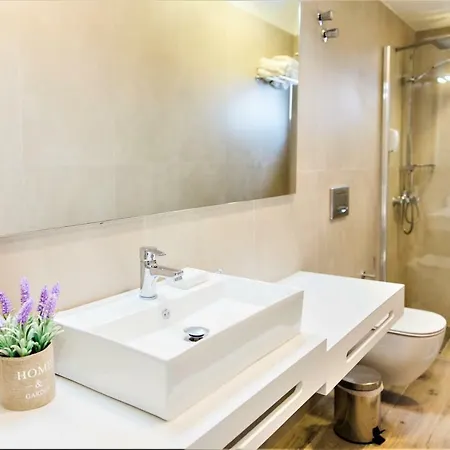 公寓式酒店 Aggelos & Deluxe 奈德里