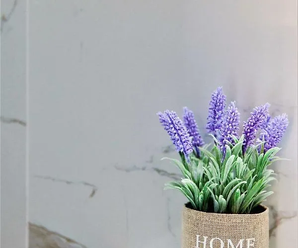 Aggelos & Deluxe Aparthotel 4*